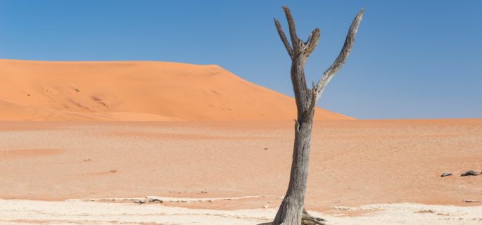 纳米比亚（Namibia）海牙认证